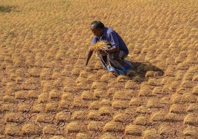 Stay on loan recovery : दुष्काळी भागातील शेतकऱ्यांच्या कर्जवसुलीला स्थगिती