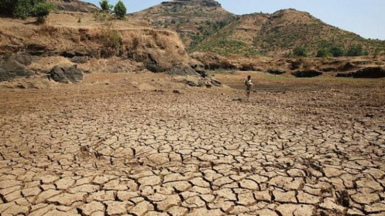 दुष्काळग्रस्त महाराष्ट्राची केंद्रीय पथकांकडून पाहणी सुरू; ११ सदस्यांचे पथक राज्यात दाखल
