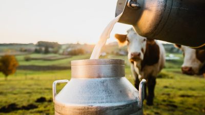 Milk Prise: दूधही महागलं! सामान्य नागरिकांचं आर्थिक बजेट कोलमडण्याची शक्यता; वाचा रेटकार्ड