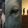 Dharavu Marathi Movie : धाराऊ... ती गाय नाय... माय हाय! दिग्दर्शक मनिष शिंदेचा “धाराऊ” चित्रपट २३ ऑक्टोबरपासून चित्रपटगृहांत