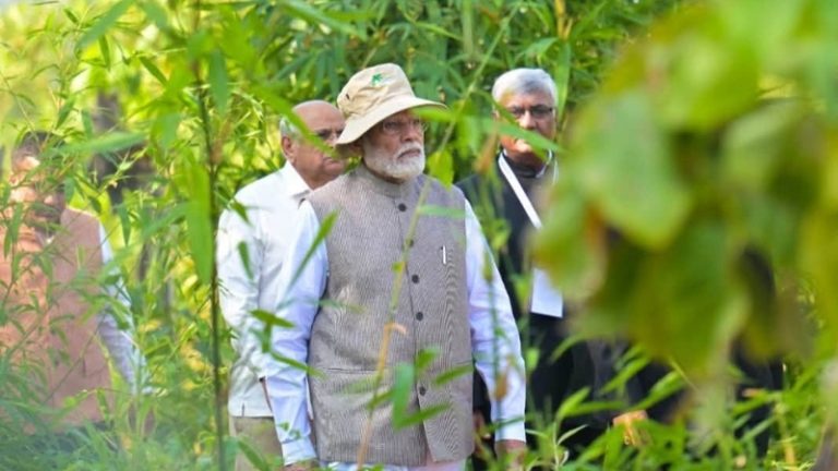 Narendra Modi: एकता नगरचे भव्य वर्षावन; बाराही महिने मान्सूनचा अनुभव आणि काचेचा स्कायवॉक