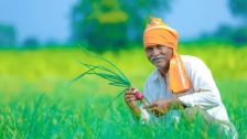 Ahilyadevi Holkar Karjmukti Yojana : शेतकऱ्यांसाठी मोठी बातमी! कर्जमुक्ती योजनेची तिसरी यादी जाहीर, 3.51 लाख शेतकऱ्यांचा समावेश
