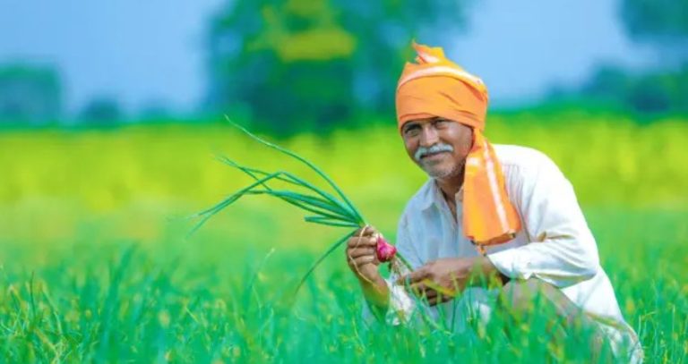 Ahilyadevi Holkar Karjmukti Yojana : शेतकऱ्यांसाठी मोठी बातमी! कर्जमुक्ती योजनेची तिसरी यादी जाहीर, 3.51 लाख शेतकऱ्यांचा समावेश
