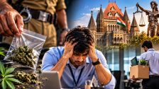 IT Engineer Career : २ हजारांच्या दंडाने उद्ध्वस्त झाले करिअर! गांजा प्रकरणात नाव नोंदवल्याने आयटी इंजिनिअरची नोकरी गेली; तरुणाची मुंबई उच्च न्यायालयात धाव