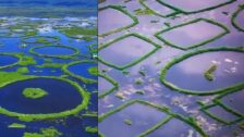 Loktak Lake Manipur : 'लोकटक तलावा'च्या संवर्धनासाठी मणिपूर सरकारचा मोठा निर्णय, 'लोकटक दिन' आता राज्य महोत्सव