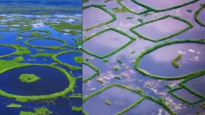 Loktak Lake Manipur : 'लोकटक तलावा'च्या संवर्धनासाठी मणिपूर सरकारचा मोठा निर्णय, 'लोकटक दिन' आता राज्य महोत्सव