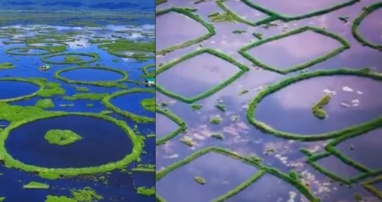 Loktak Lake Manipur : 'लोकटक तलावा'च्या संवर्धनासाठी मणिपूर सरकारचा मोठा निर्णय, 'लोकटक दिन' आता राज्य महोत्सव