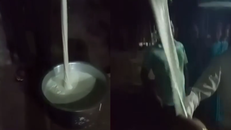Nashik : मालेगावात कोजागिरीच्या दुधाला उकळी फुटताच घडला भयंकर प्रकार, दूध उकळल्यानंतर...