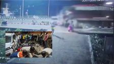 भीषण रस्ते अपघात! ओडिसामध्ये कार, ट्रक आणि दुचाकींच्या धडकेत एका महिलेचा मृत्यू, 7-8 जण गंभीर जखमी