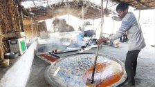 Palm Jaggery Export : भारताच्या सेंद्रिय पामिरा गुळाची बल्गेरियाला पहिली निर्यात; 1.755 टनांची खेप रवाना