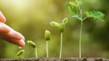 Tree Plantation Badlapur : सरकारी प्रकल्पांमधील बाधित झाडांच्या बदल्यात पर्यायी वृक्ष लागवड बदलापुरला...खासगी इमारतींची मुंबईत