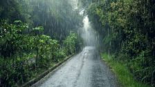 Maharashtra Weather : महाराष्ट्रात पावसाचा जोर ओसरला; आज कुठे पावसाची शक्यता? जाणून घ्या हवामान अपडेट