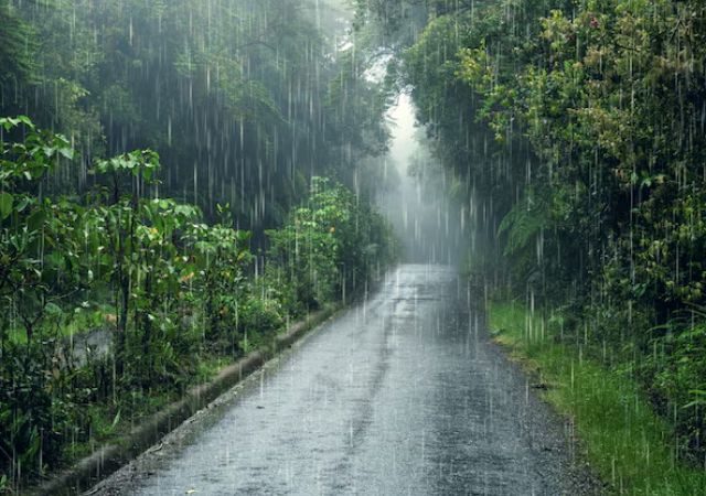 Maharashtra Weather : महाराष्ट्रात पावसाचा जोर ओसरला; आज कुठे पावसाची शक्यता? जाणून घ्या हवामान अपडेट