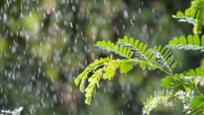 Weather Update : महाराष्ट्रात पुन्हा हवामान बदलणार;'या' जिल्ह्यांत पावसाची शक्यता