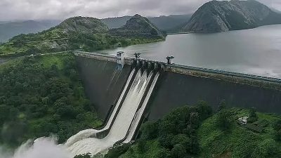 Mid Vaitarna Dam : मध्य वैतरणा धरणातील कापलेल्या झाडांच्या बदल्यात बीडमध्ये लावलेली २ लाख झाडे गेली कुठे?