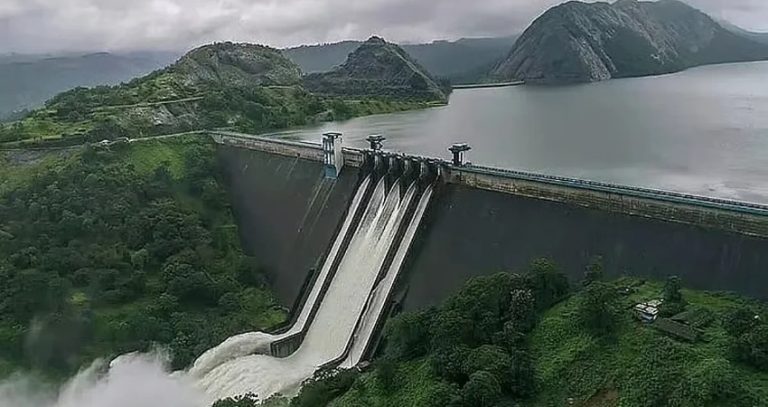 Mid Vaitarna Dam : मध्य वैतरणा धरणातील कापलेल्या झाडांच्या बदल्यात बीडमध्ये लावलेली २ लाख झाडे गेली कुठे?
