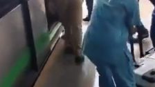 Bengaluru Metro : मेट्रो ठरली जीवनदायिनी! बंगळुरूमध्ये 18 मिनिटांत मानवी हृदयाची यशस्वी वाहतूक, Video Viral