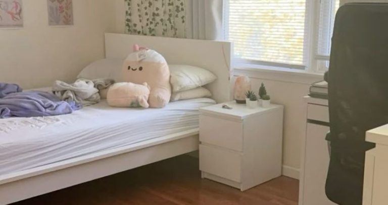Japanese Cleaning Habits : जपानी लोकांच्या स्वच्छतेच्या 'या' सवयी; घर राहील चकाचक आणि साफसफाईसाठी लागेल कमी वेळ!