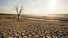Maharashtra Drought : महाराष्ट्रातील दुष्काळाची पाहणी करण्यासाठी केंद्राचे पथक लवकरच राज्यात