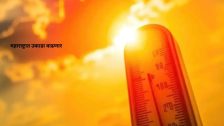 Maharashtra Weather News : महाराष्ट्रात उकाडा वाढणार, गुलाबी थंडीसाठी आणखी प्रतीक्षा; कोकणासह मराठवाड्यात पावसाचा अंदाज