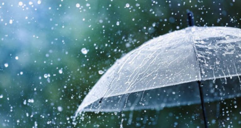 Maharashtra Weather : महाराष्ट्रात परतीचा पाऊस पुन्हा बरसणार? 'या' जिल्ह्यांना दिला अलर्ट; जाणून घ्या 6 ऑक्टोबरचे हवामान