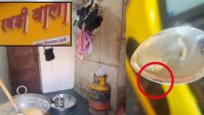 Nashik : नाशिकमधील 'या' रबडीवाल्यावर अन्न प्रशासनाची कारवाई, सीताफळाच्या पल्पमध्ये आढळल्या अळ्या